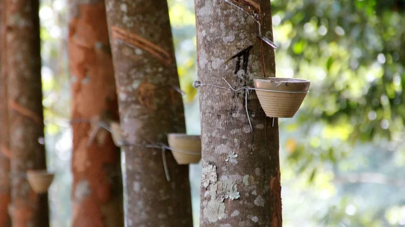 Grawitacyjne oddymianie klatek schodowych dla bezpiecznych budynków wielokondygnacyjnych
