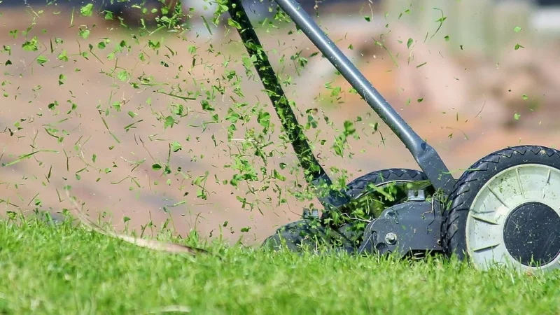 Krojownia przyszłości: automatyzacja rozkroju z nożem taśmowym